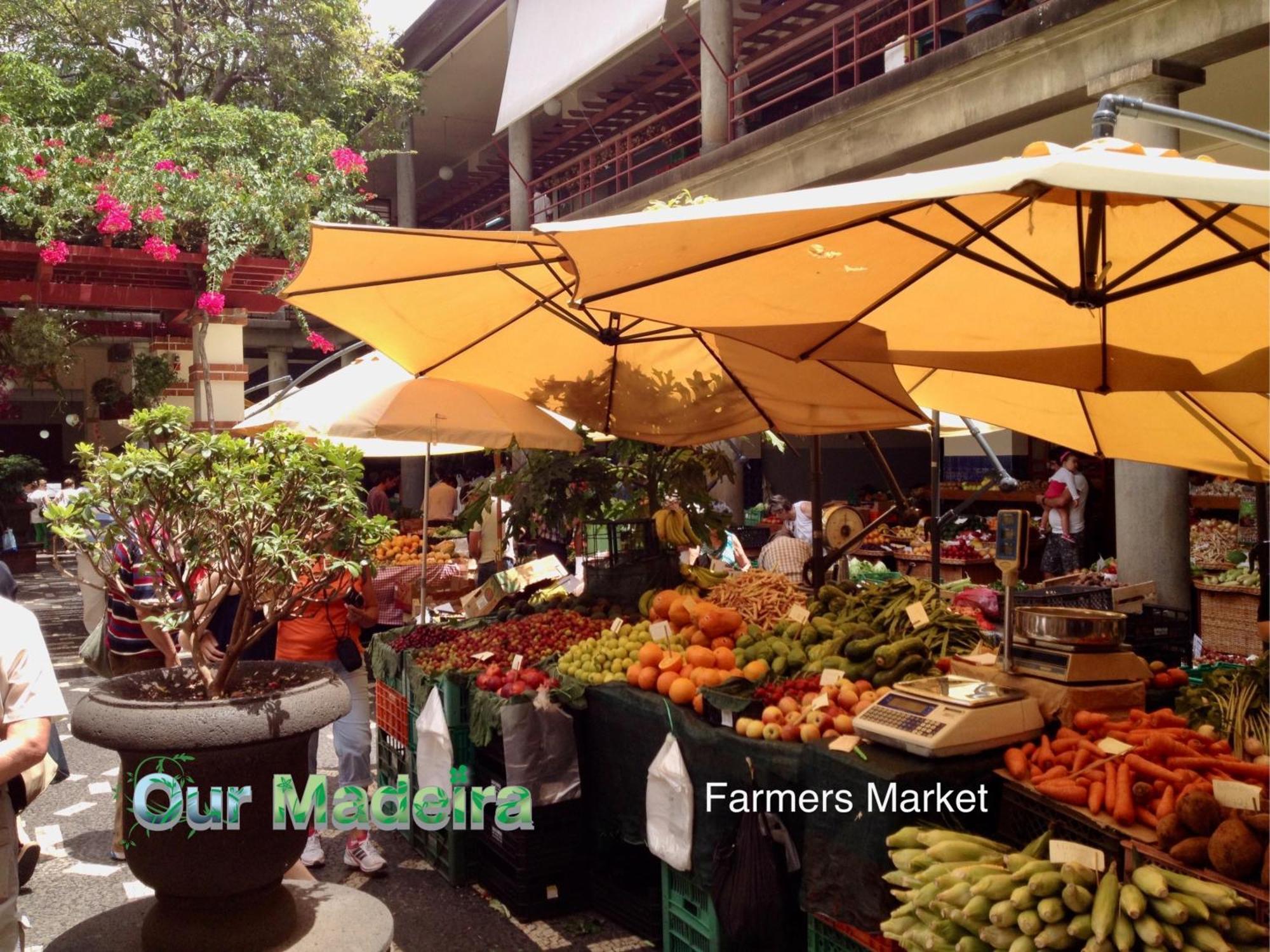 Appartamento Ourmadeira - Heart Of Old Town II Funchal  Esterno foto