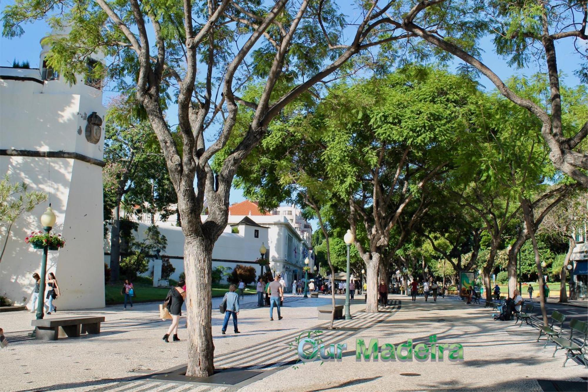 Appartamento Ourmadeira - Heart Of Old Town II Funchal  Esterno foto